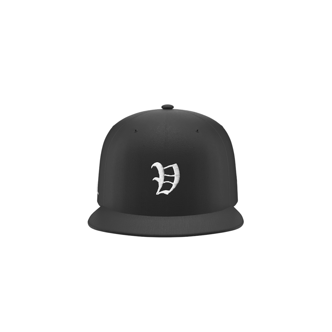 VICIOUS FITTED HAT